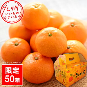 yő500~OFFN[|zz12/4 20:00~12/11 9:59z R_@ɑ݂@񂰔i2.7kgj