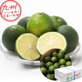 宮崎県産　訳ありへべす　1箱（2kg）