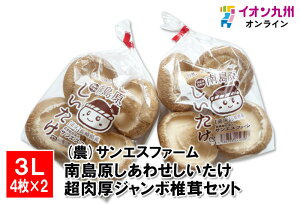 yő500~OFFN[|zz11/20 20:00~11/27 9:59z 쓇킹@W{őZbg