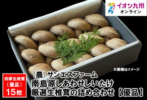 yő500~OFFN[|zz11/20 20:00~11/27 9:59z 쓇킹@Iő̋lߍ킹@yDiz