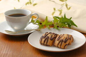 yő500~OFFN[|zz12/4 20:00~12/11 9:59z {葾z̗l  15 /{ yY