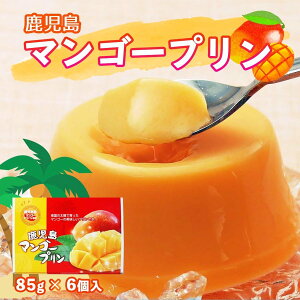 yő500~OFFN[|zz12/4 20:00~12/11 9:59z }S[v 6