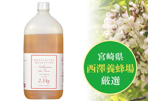 nK[YAJVA (|eܓ) 2.5kg