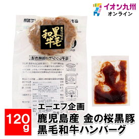 【P3倍★1/15 0:00~1/16 9:59】 鹿児島産 黒毛和牛ハンバーグ 120g