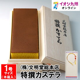 特撰カステラ1号（木箱入）