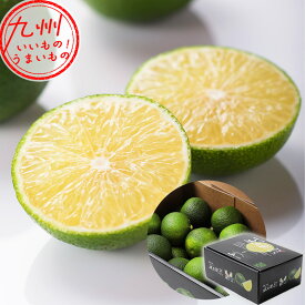 宮崎県産 へべす L/Mサイズ 1kg JAみやざき