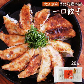 手づくり 一口餃子 250g(20個入)