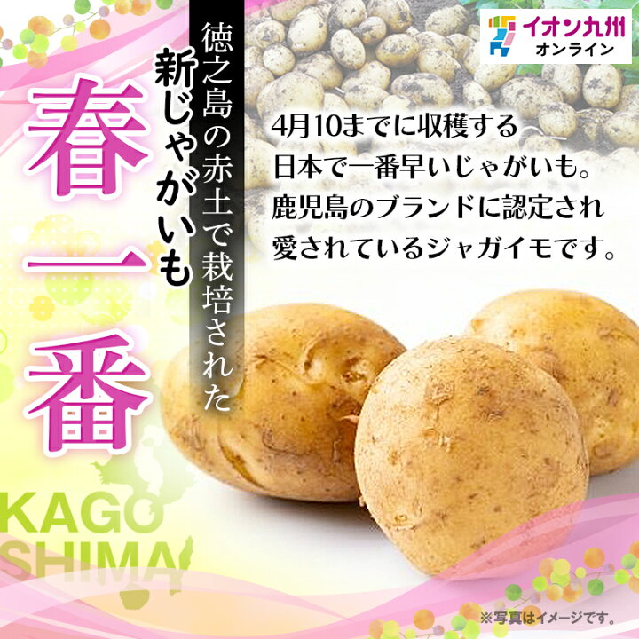 楽天市場】【エントリーでP5倍♪~4/1 9:59】 鹿児島県徳之島産 新 