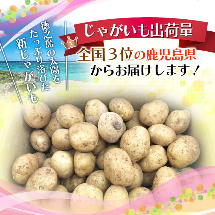楽天市場】【エントリーでP5倍♪~4/1 9:59】 鹿児島県徳之島産 新 