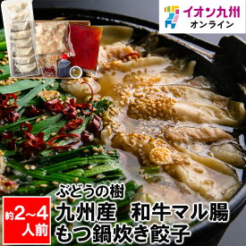 【P3倍★1/15 0:00~1/16 9:59】 ぶどうの樹 九州産★和牛マル腸もつ鍋炊き餃子