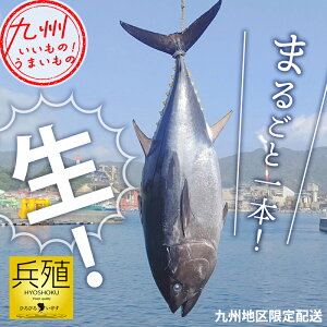 y10OFFyVX[p[SALEz {B{܂iς݁j 1{i60kgj B