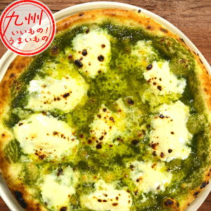 ƐoWy[Xgƃ}XJ|[l`[Y ʃTCY a23cm `[Y oW sU sbc@  yH ⓀHi NX}X Mtg v[g p[eB[ fBi[ LO q L