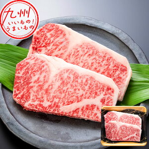 yP3{11/5 0:00~11/6 9:59z a[XXe[L