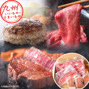 ��B�N���t�g�M�t�gA �n�����[�X�X���C�X 250g �n���T�[���C���X�e�[�L ��220g ��B�N���t�g���јa���n�����n���o�[�O 100g×4�� (1�p�b�N��2����)