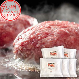 八崎牛のハンバーグ 5個 (120g×5個)
