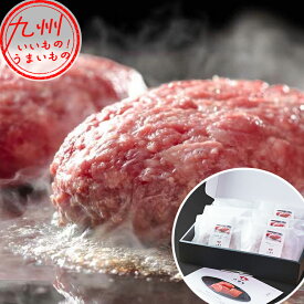 八崎牛ギフトF【贈答用】 放牧黒毛和牛100%ハンバーグ 120g×6個