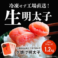【P2倍★8/10 00:00~8/12 9:59】 工場直送！ 出来立ての無着色辛子明太子（切れ子）1.2kgセット（300g×4…