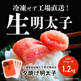 工場直送！ 出来立ての無着色辛子明太子（切れ子）1.2kgセット（300g×4） 辛子明太子 辛子明太 辛子めんたい からしめんたいこ からしめんたい 夕焼け明太子 無着色 切れ子