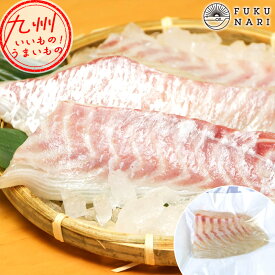 【生産者が作った新鮮商品】旨味と甘みが溢れる「真鯛のお刺身用サク」 ふく成 ふくなり フクナリ 天草真鯛 真鯛 養殖真鯛 養殖 天草 熊本 御所浦 横浦島 鯛 タイ たい マダイ まだい お魚 魚 さかな おさかな サカナ 美味しい お取り寄せ グルメ お取寄せ 食品