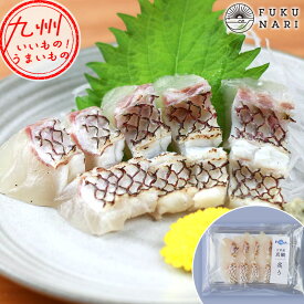 【生産者が作った新鮮商品】香りも味わえる「真鯛の炙り刺身」 ふく成 ふくなり フクナリ 天草真鯛 真鯛 養殖真鯛 養殖 天草 熊本 御所浦 横浦島 鯛 タイ たい マダイ まだい お魚 魚 さかな おさかな サカナ 美味しい お取り寄せ グルメ お取寄せ 食品