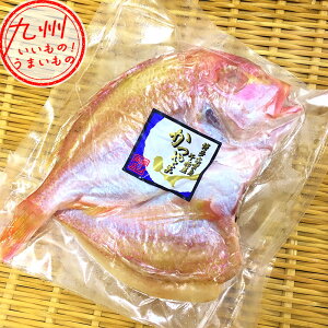 yő500~OFFN[|zz12/4 20:00~12/11 9:59z RX AqJ Aq 񂱑 R 񂱂 R_C       Ƃ悹 O