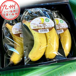 yő500~OFFN[|zz12/4 20:00~12/11 9:59z 啪Y oii 1.0kg L㖲嗤 ΂Ȃ 썑t[c Y 啪Y 啪  Yoii ʕ t[c  啪̃t[c 