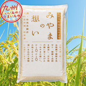 yő500~OFFN[|zz11/20 20:00~11/27 9:59z ߘa5NY Y ݂ܕ 5kg     5k ̕ ݂ܕ ݂