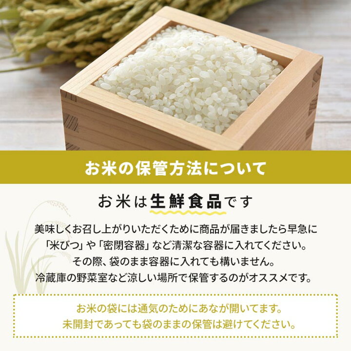 令和6年度米 新米 キヌヒカリ米 美味しい米 精米済み 白米27キロ 11900円