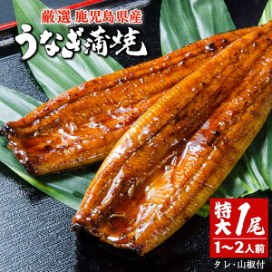 yő500~OFFN[|zz12/4 20:00~12/11 9:59z YȂāyz (1Zbg)