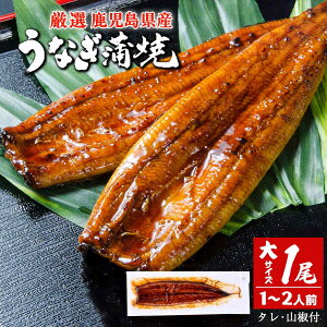 yő500~OFFN[|zz12/4 20:00~12/11 9:59z YȂ yz (1Zbg)