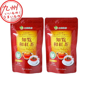 magECOeB[obO 40g(2g×20P)×2 mY m   ag g t[o[eB[ eB[ ς ݂̂₷ ݂₷  eB[obO eB[pbN 勴 Ƃ悹 