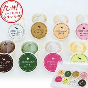 CHICHIYA KWF[g 8Zbg WF[g ACXN[ ACX XC[c  f Ysgp SS   Ƃ悹 O nO 蕨 