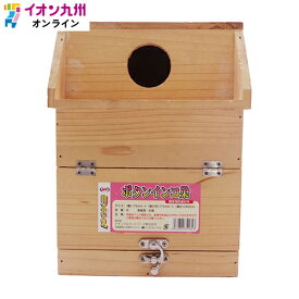 【P3倍★4/15 0:00~4/16 9:59】 ボタンインコ巣