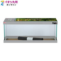 楽天市場】gex 600 スリムの通販