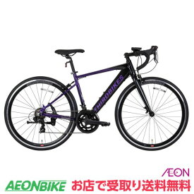 【エントリーでP7倍！5/9 20:00- 5/16 01:59＋先着1,100円OFFクーポン発行中】【店舗受取り送料無料】サードバイクス（THIRDBIKES）フェスロード-E 700C 外装14段変速 TB-23-006 ロードバイク 自転車