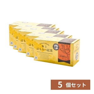 Lakshimi NV~[@ɏ݂͂g@2g×25 v`Mtg ~jMtg 5Zbg