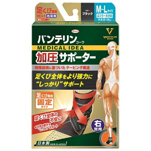 oeR[  T|[^[  p Ep M`L ubN EpEӂ`傫 1 oeR[ VANTERIN KOWA a