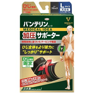 oeR[  T|[^[ Ђ p L  傫 EpE1 oeR[ VANTERIN KOWA a