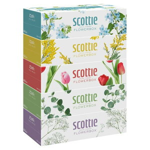 XRbeB eBV[ t[{bNX 250g 5pbN XRbeB