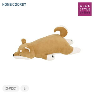 gbvo@z[R[fB@Ԃ͂Ɓ@܂@MTCY@LTCY@܂@NbV