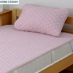 �z�[���R�[�f�B�@���������@�p�C���܂���p�b�h