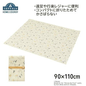 z[R[fB@fBYj[ W[V[g M