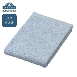 �z�[���R�[�f�B�@��100���o�X�^�I���@HC-STH50AT251 �^�I���@���p