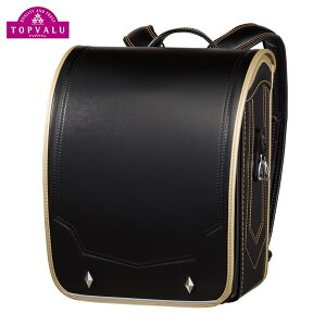 邷ۃG[ u[h 邷 × Vĝ͂ hZ 2026Nx j̎q j̎q 6NԏCۏ 360° { 邪w   CIX^CIC  CM