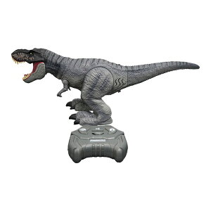 RC WVbNE[h T-bNX 4907953817166 @zr[@NX}X@tBMA@@WR