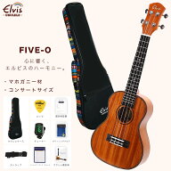 あす楽 【初心者セット8点！高級エスニック風ケース付！】ELVIS エルビス コンサートサイズ マホガニー材…