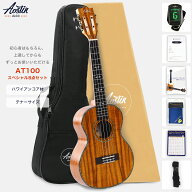最強配送 Aostinオースティン AT100 ウクレレ テナーサイズ ハワイアンコア スロテッドヘッド(国内保証書…