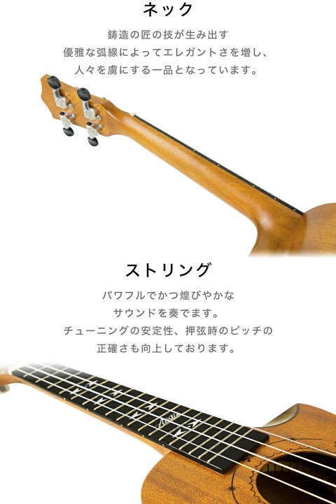 楽天市場】あす楽 Aostinオースティン・UMI-1C Pro・コンサート 