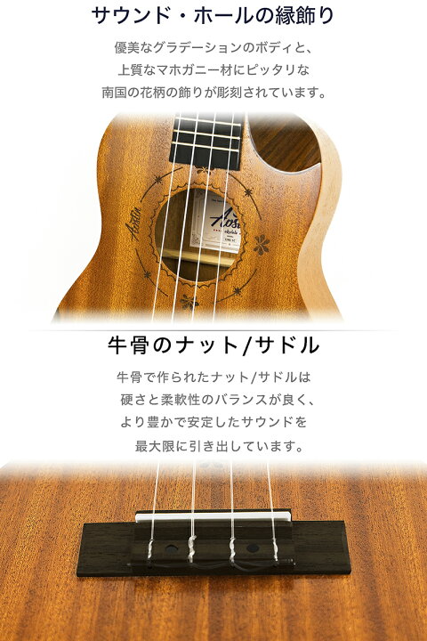 楽天市場】あす楽 Aostinオースティン・UMI-1C Pro・コンサート 