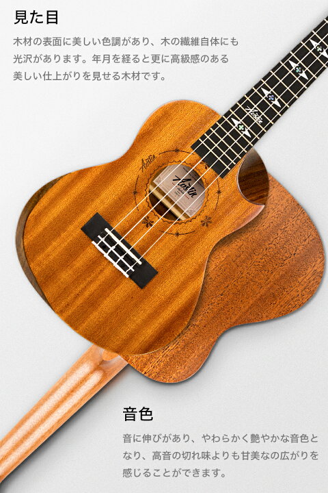 楽天市場】あす楽 Aostinオースティン・UMI-1C Pro・コンサート 